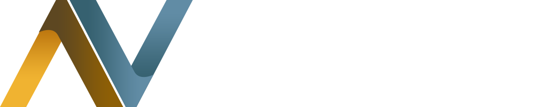 Naughty Ventures Logo